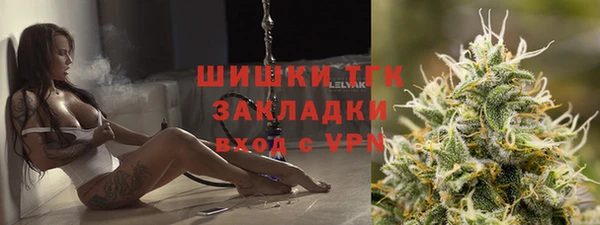 стаф Заводоуковск
